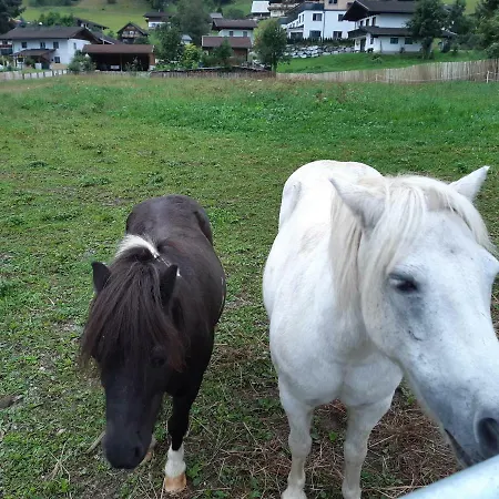 Casa de hóspedes Gut Voegeihof