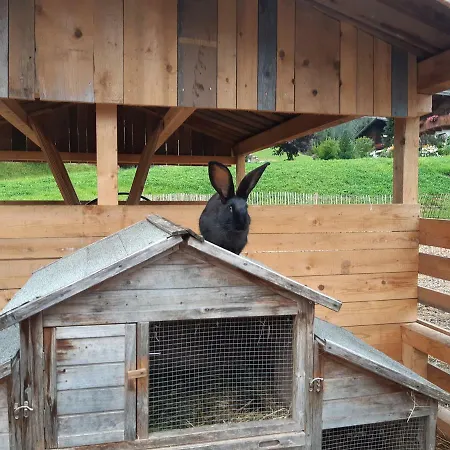 Gut Voegeihof Casa de hóspedes Forstau (Salzburg)