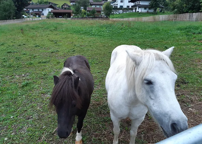 ゲストハウス Gut Voegeihof