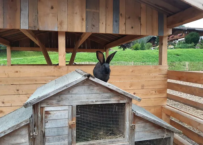 Gut Voegeihof ゲストハウス フォルスタウ